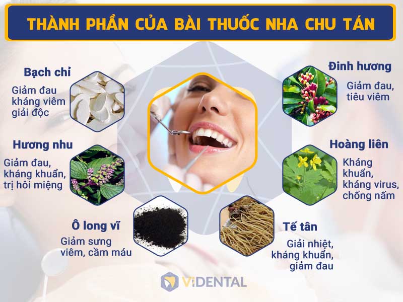 Các thành phần bài thuốc Nha Chu Tán