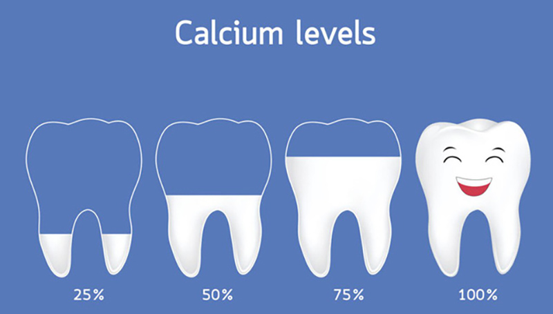 Canxi đóng vai trò quan trọng đối với cấu tạo của răng
