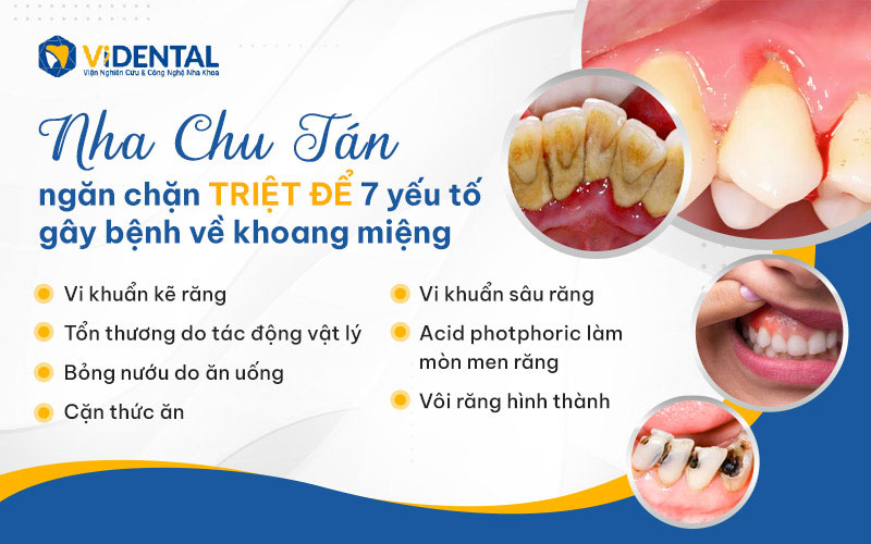 Nha Chu Tán ngăn chặn triệt để 7 yếu tố gây bệnh