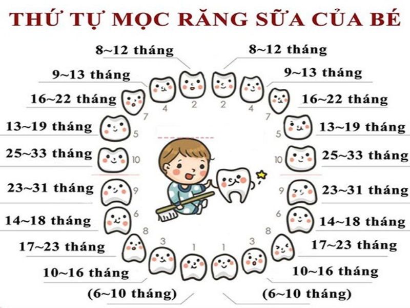 Các mốc thời gian mọc răng sữa ở trẻ nhỏ