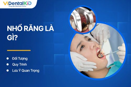 Nhổ Răng Là Gì? Đối Tượng, Quy Trình Và Lưu Ý Quan Trọng